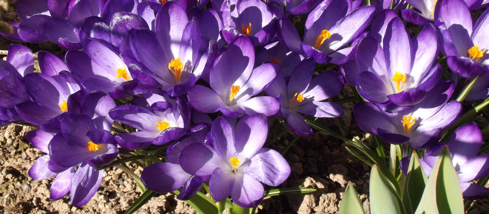 Unsere Frühjahrsreisen