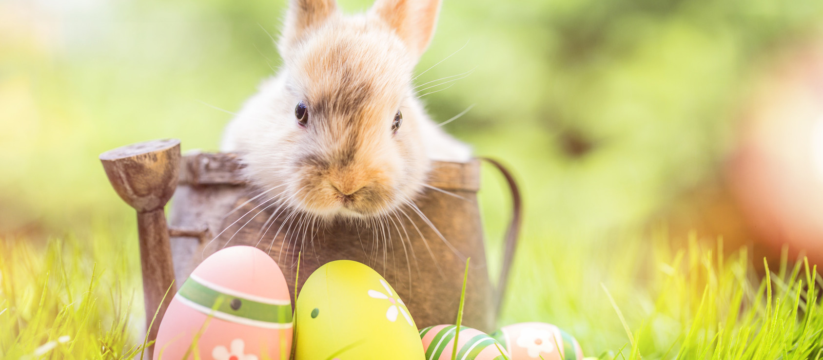 Unser buntes Angebot rund um Ostern